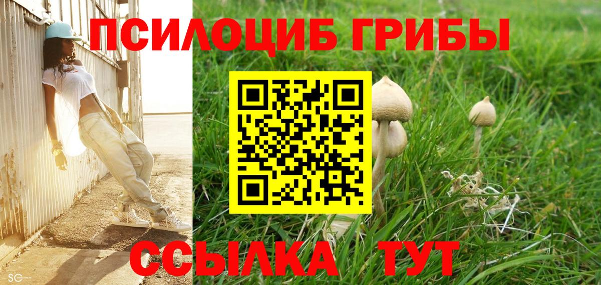 Галлюциногенные грибы мицелий Анжеро-Судженск