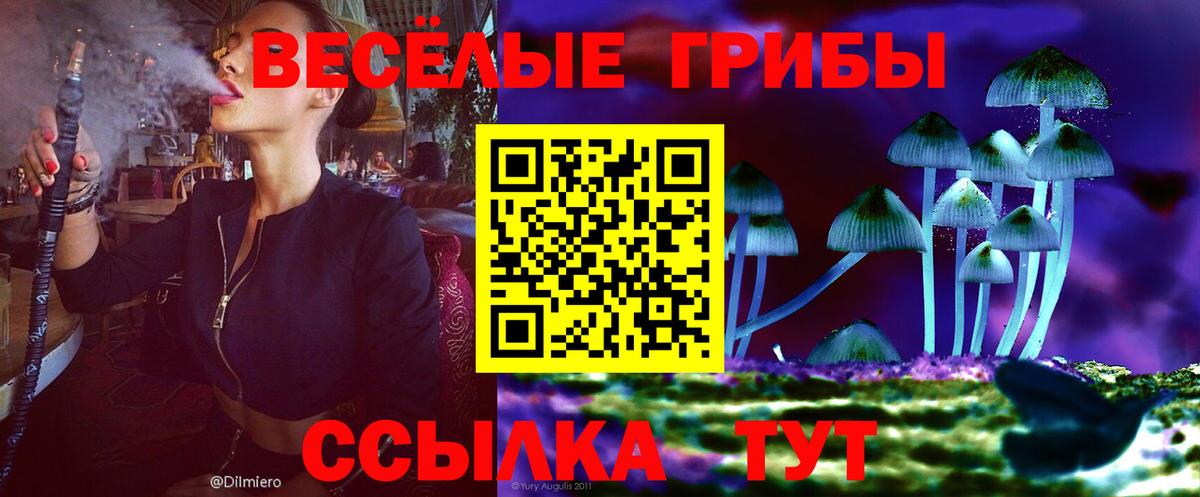 Галлюциногенные грибы MAGIC MUSHROOMS  Вход с VPN  Анжеро-Судженск 