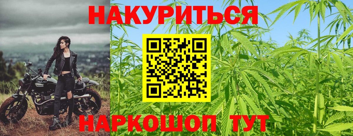 Каннабис сатива  МАРИХУАНА ГИДРОПОН  Вход с VPN  Анжеро-Судженск  Канабис SATIVA & INDICA 